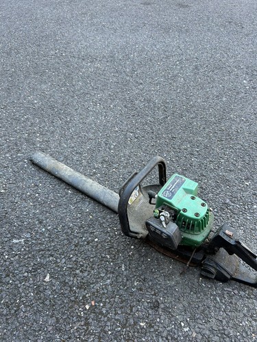 Performance power petrol hedge - performance,