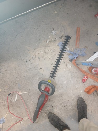 Hedge trimmer - hedge,